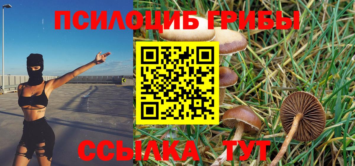 Геленджик  Псилоцибиновые грибы GOLDEN TEACHER  сколько стоит  Вход с VPN 