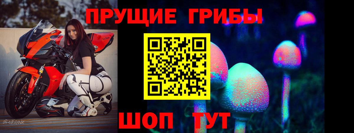 Псилоцибиновые грибы GOLDEN TEACHER Геленджик